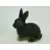 Farm World - Lapin noir et feu
