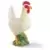 Poule blanche 13125