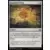Modern Masters 2015 - Expedition Map