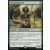 Noble Hierarch