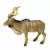 Antilope