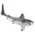 Requin Blanc