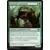 Anouride excavateur