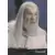 Gandalf - Wizard - The Characters