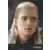 Legolas - Elven Warrior - The Characters