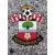 Premier League 2021 - Club Badge - Southampton