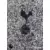 Club Badge (Tottenham Hotspur) - Tottenham Hotspur