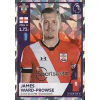 James Ward-Prowse (Captain) - Southampton