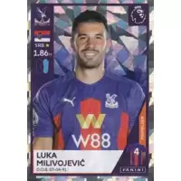 Luka Milivojević (Captain) - Crystal Palace