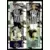 Sean Longstaff - Jonjo Shelvey - Newcastle United