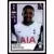 Steven Bergwijn - Tottenham Hotspur