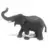 Eléphant d'Asie mâle