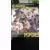 Livres Sport - Les Grands moments de la Coupe du monde 1998
