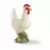 Poule blanche
