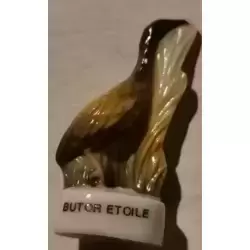 Butor étoile