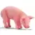 Farm World - Bébé Cochon