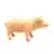 Farm World - Cochon