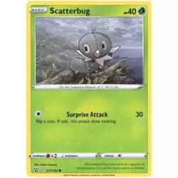 Scatterbug