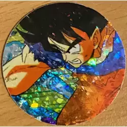 Pog N°2