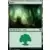 Forêt