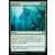 Double Masters - Agrandir