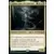 Atraxa, voix des praetors