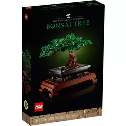 Bonsai Tree - Botanical Collection