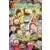 Rick & Morty - Rick and Morty - Free Comic Book Day 2019