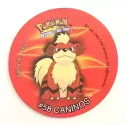 58 - Caninos