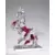 Saint Seiya - Myth Cloth EX - Hagen de Merak  (Étoile Bêta)