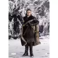 Game of Thrones - Arya Stark (Season 8)