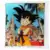 Goku petit