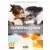 Overwatch Legendary Edition