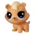 Petshop N°2-119
