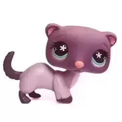 LPS 482