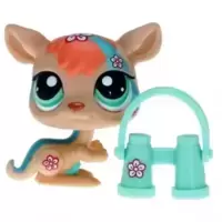 LPS 1437
