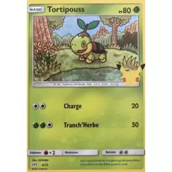 Tortipouss