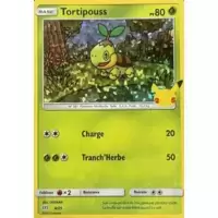 Tortipouss holographique
