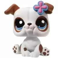 LPS 2106