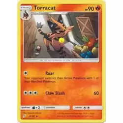 Torracat