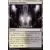 L\' Allégeance de Ravnica - Kits de Guilde - Basilique d\'Orzhov