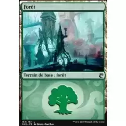 Forêt 2