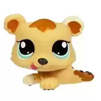 LPS 1554