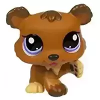 LPS 1556