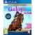 Réussir : Galops 1 à 7