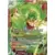 Dragon Ball Super Carte Promo FR - Broly // Broly, Afflux de Brutalité