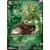Dragon Ball Super Carte Promo FR - Broly SS, Vengeance éternelle