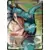 Chi Shenron, Attaque surprise