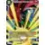 Dragon Ball Super Carte Promo FR - Great Saiyaman, Héros de la Justice