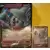 Cartes Pokemon Jumbo XXL - SWSH - Sorcilence V - Jumbo